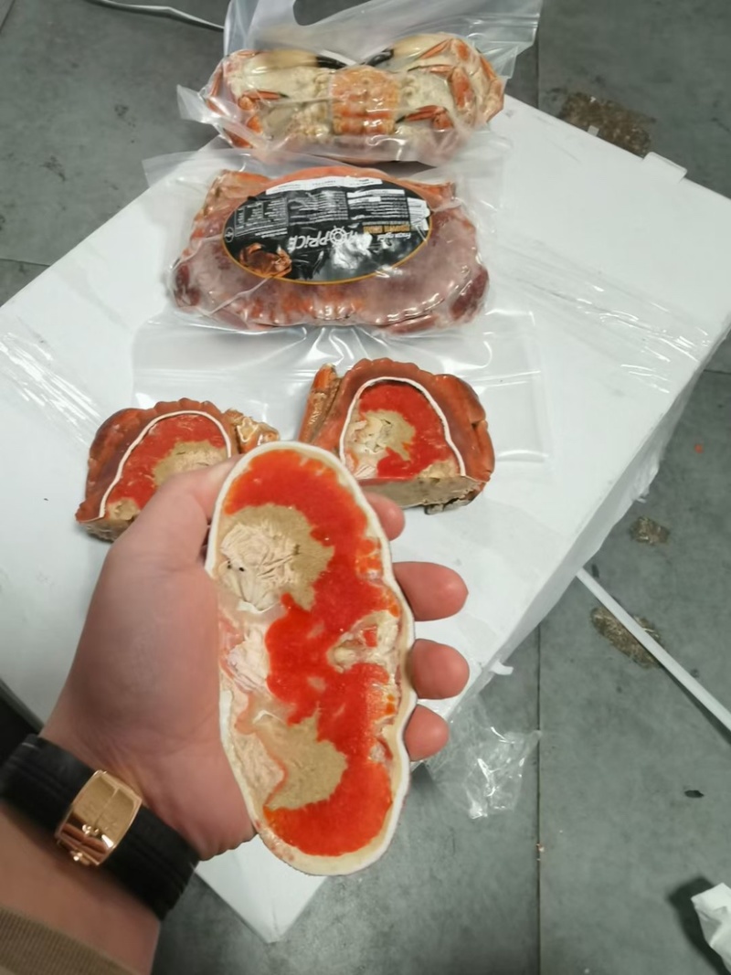 洛克面包蟹