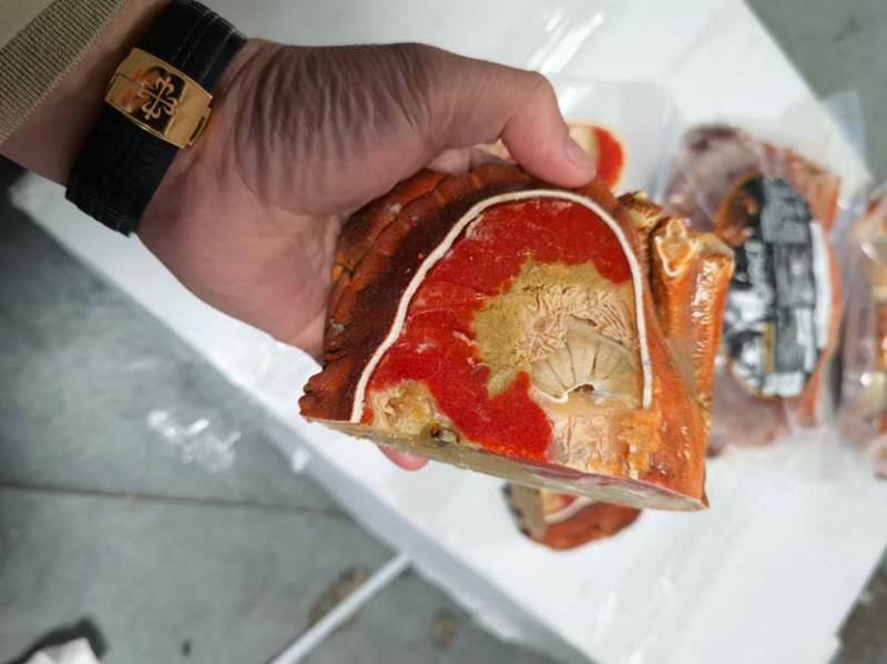 洛克面包蟹