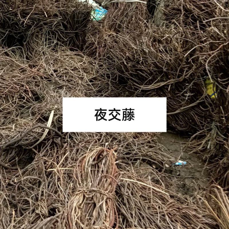贵州野生夜交藤