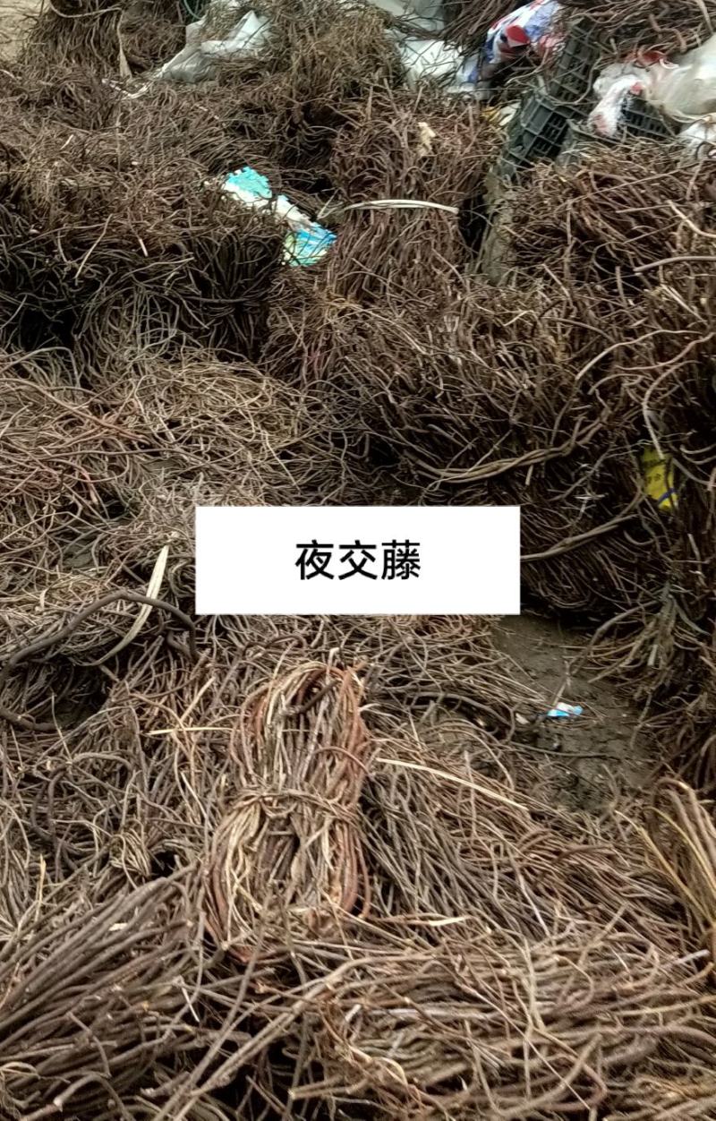贵州野生夜交藤