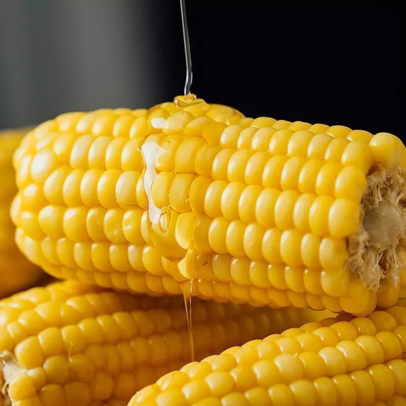 黄金香玉米种子黄金甜粘糯大棒玉米皮薄糯甜糯玉米种子