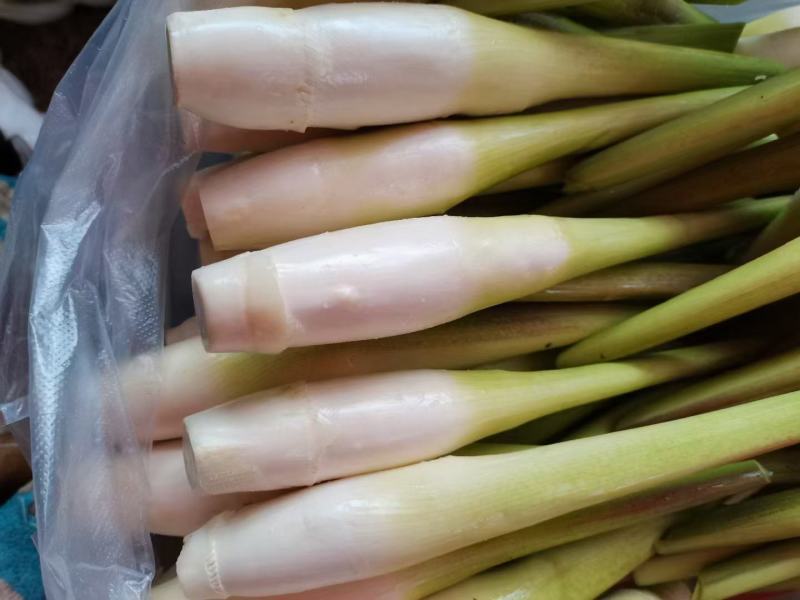 精品茭白，专注水八仙十几年，品质保障，诚信经营