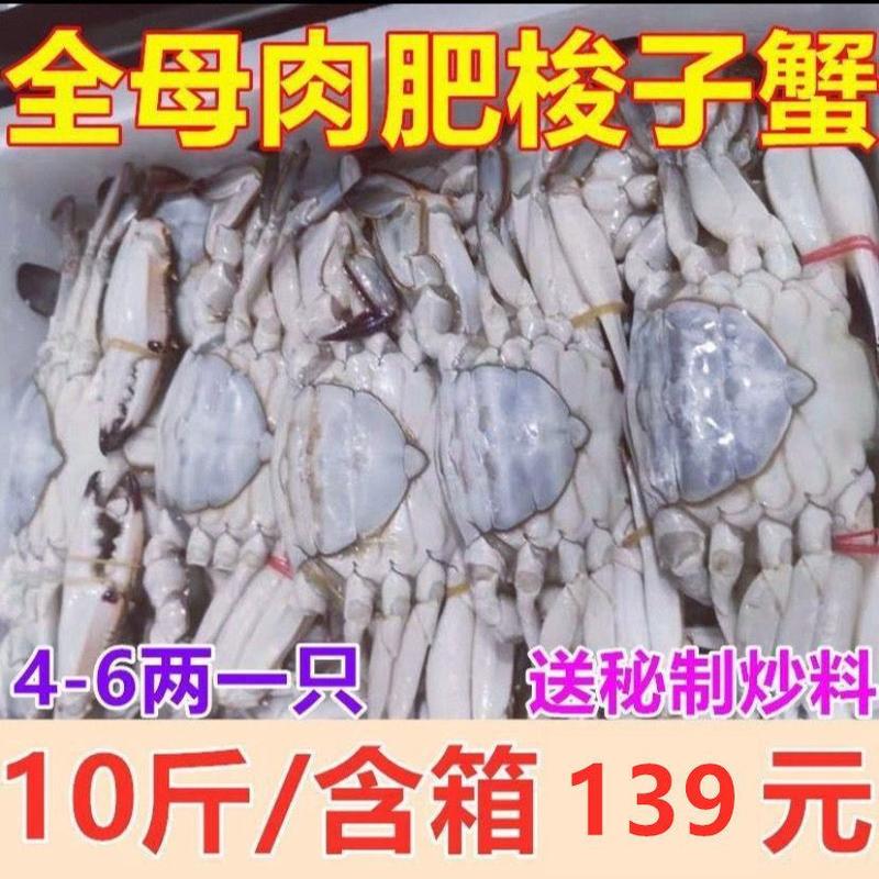 10斤/箱6-9两/只新鲜螃蟹包邮速冻大螃蟹梭子蟹海蟹青