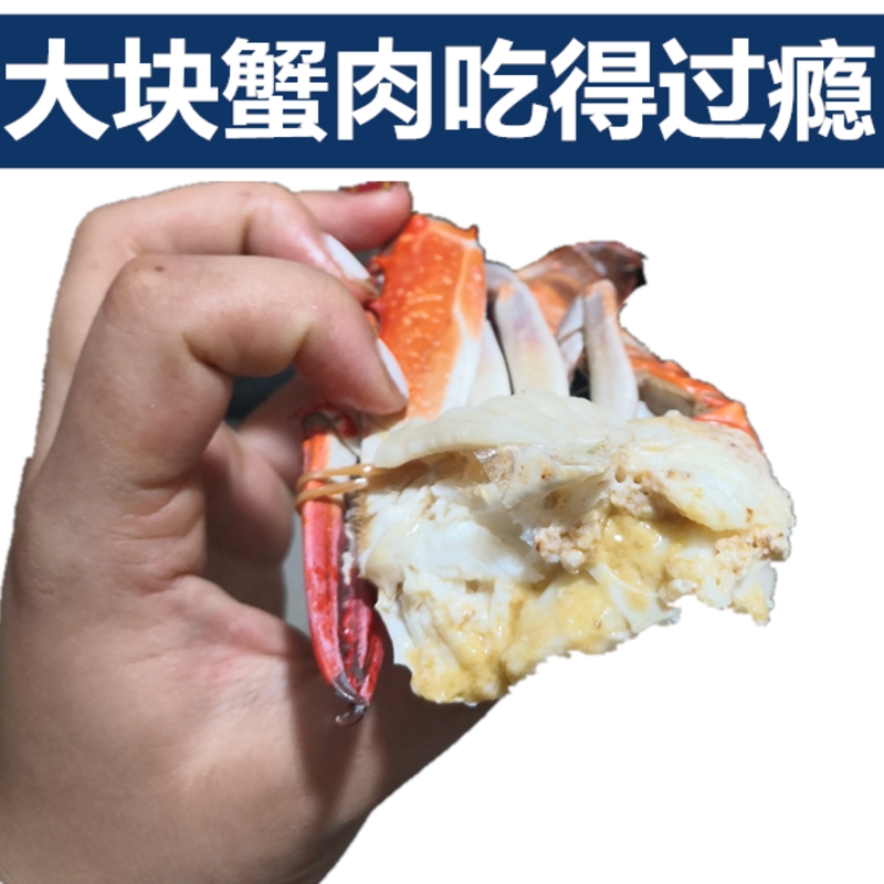 10斤/箱6-9两/只新鲜螃蟹包邮速冻大螃蟹梭子蟹海蟹青