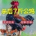 【散养两年老公鸡】正宗农村老公鸡现杀新鲜鸡肉土鸡柴鸡走地