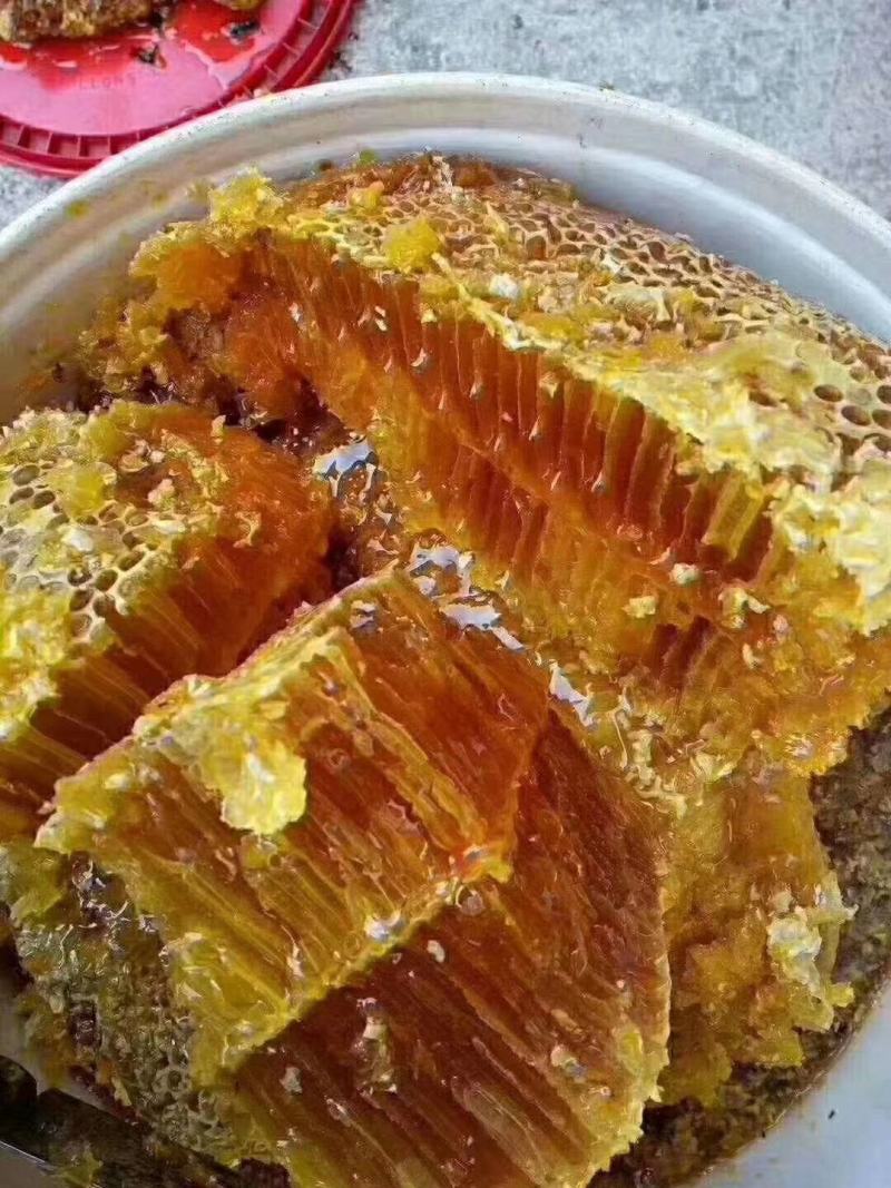云南深山老林野生土蜂蜜量大从优