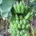 粉蕉
