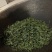 易武生态茶已经大量上市