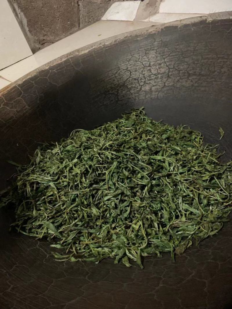 易武生态茶已经大量上市