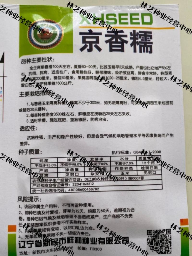 京香糯玉米种子审定大棒粘香洁白鲜食苞米棒子籽