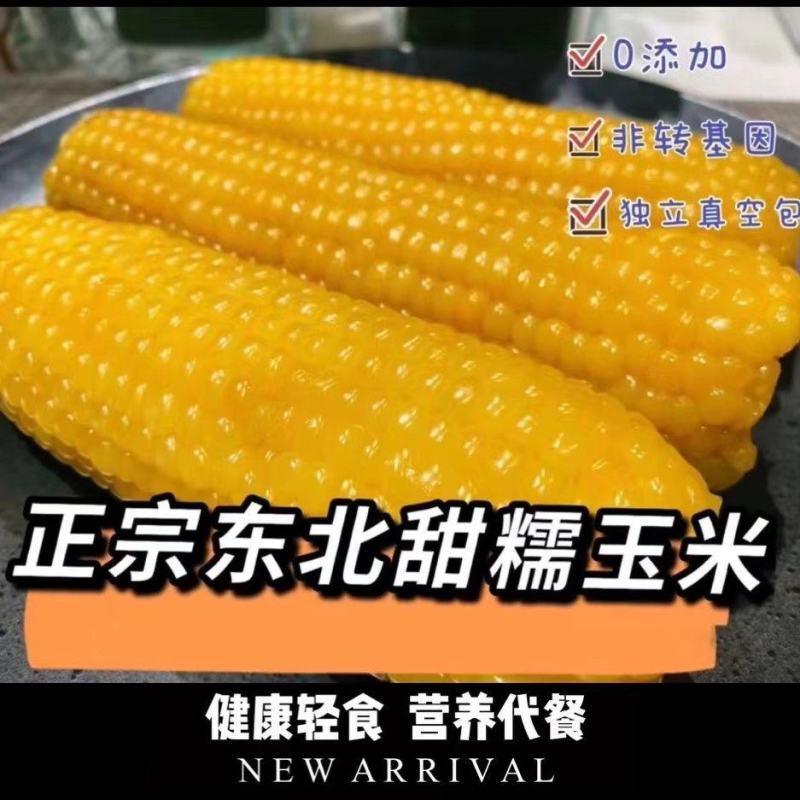 纯正东北黄糯玉米独立真空包装香甜软糯早餐代餐