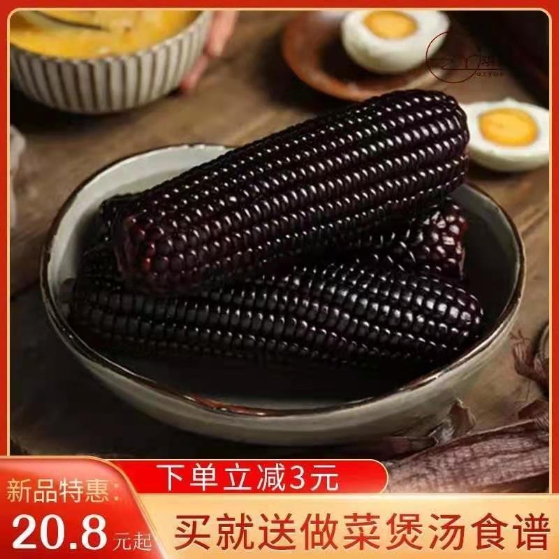 特产黑糯玉米新鲜甜香黏非转基因无添加苞米棒早餐代餐真