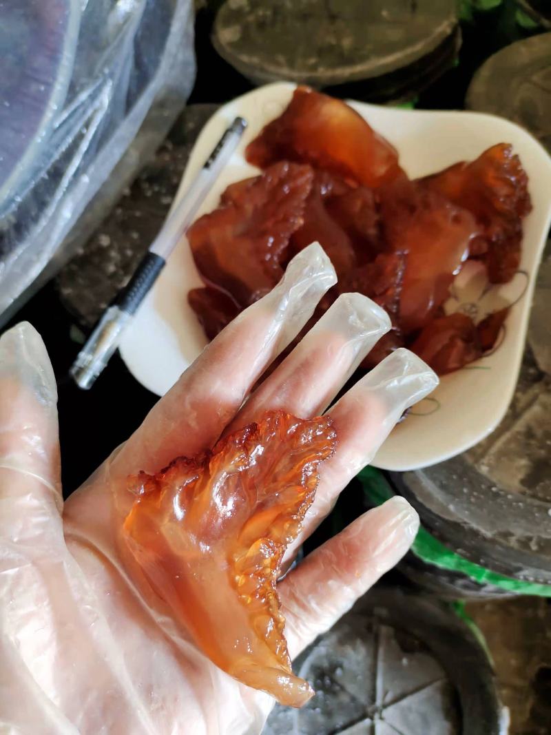 海蜇头！红头单角规格全可视频看货一手货源大量现货供应
