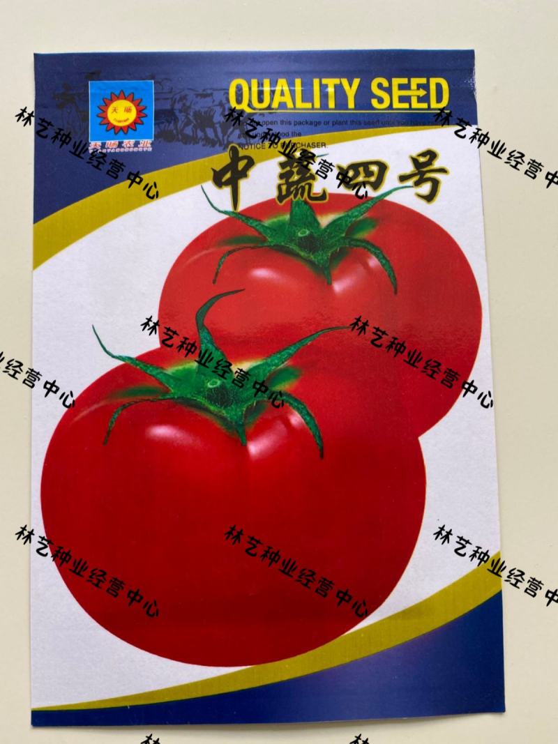 中蔬四号番茄种子大番茄水果西红柿种籽有机蔬菜种子高产