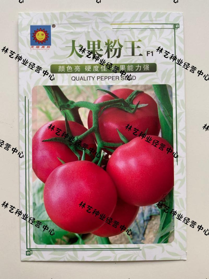 大果粉王西红柿种子多汁味美发芽率高高产稳产颜色亮大果型