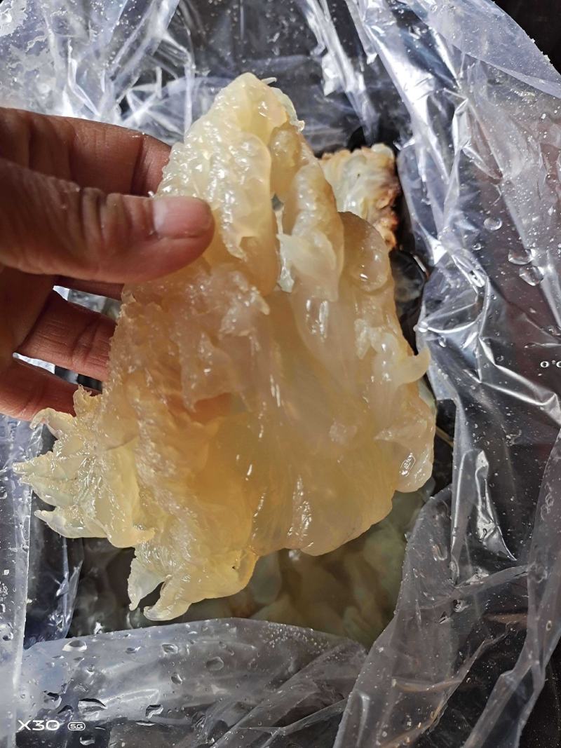 海蜇头沙蜇头！爽脆可口！凉拌下酒菜大量现货一手货源