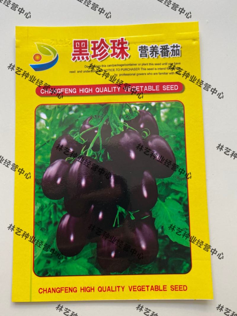 黑珍珠番茄种子