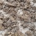干鸡屎粪有机肥常年出售散载280元一吨欢迎下单