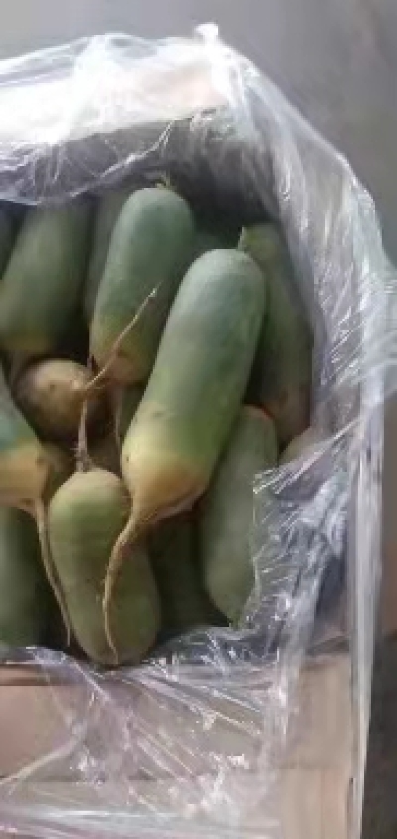 水果萝卜大量上市中