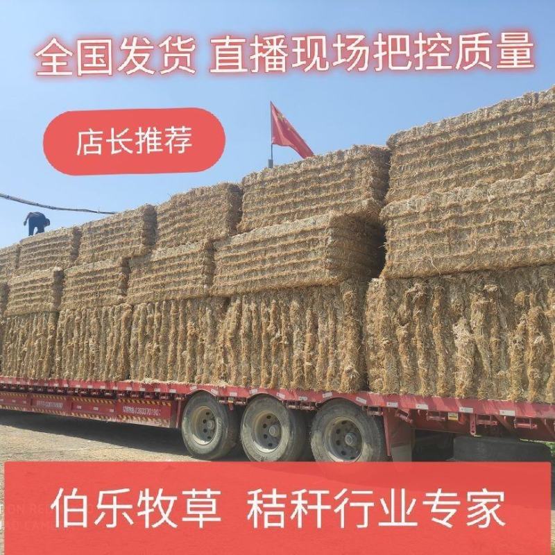 今年优质小麦秸秆诚信合作大量供应长年