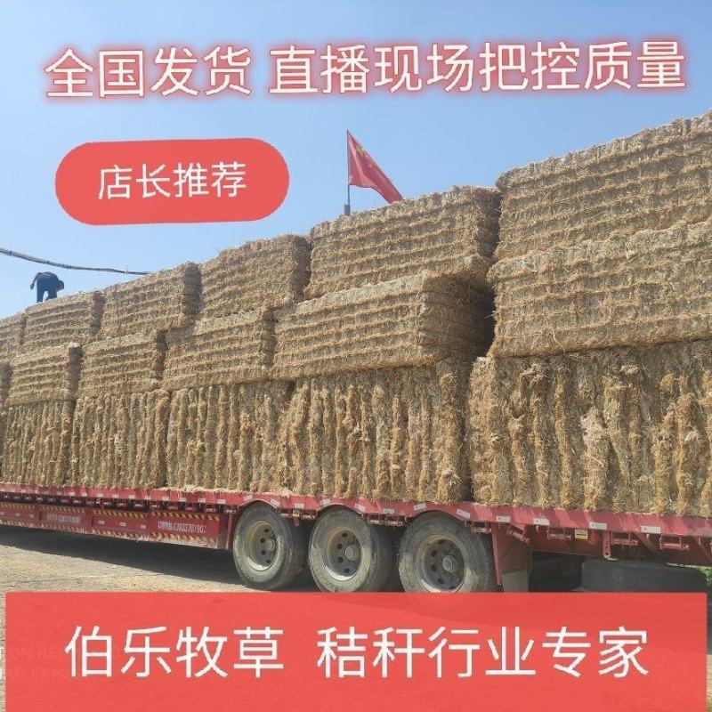 今年优质小麦秸秆诚信合作大量供应长年