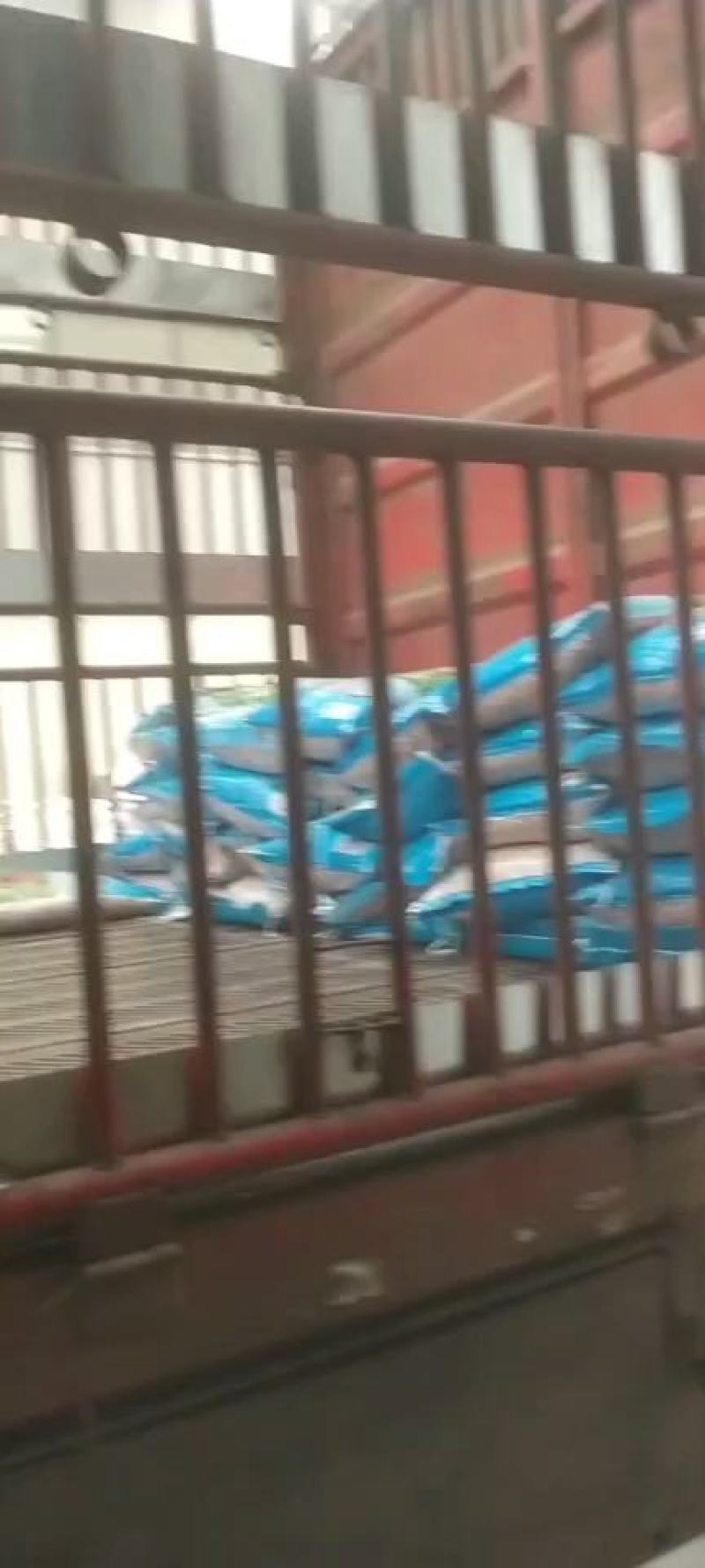 赤小豆现货供应（巴西泰国缅甸）赤小豆量大从优