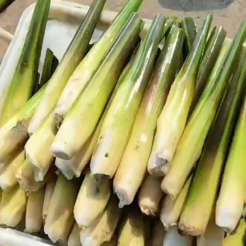 【安庆一号茭白】净菜上车水洗无泥无黑点鲜嫩承接餐饮食堂小