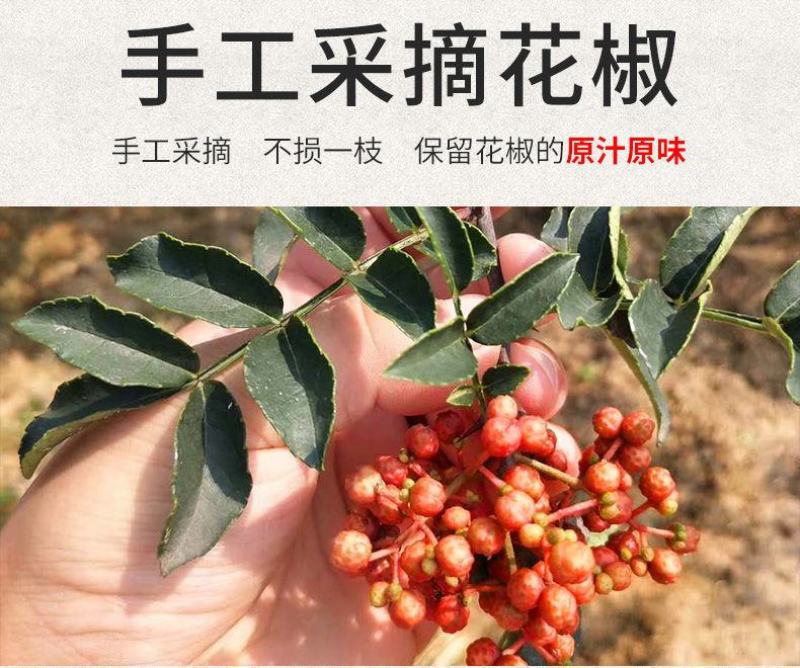 四川特产大红袍花椒500g红花椒特麻花椒粒大料麻椒花椒粉
