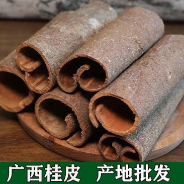 广西桂皮纯干批发正宗大料小茴香料桂调料批发大全炖肉卤桂皮