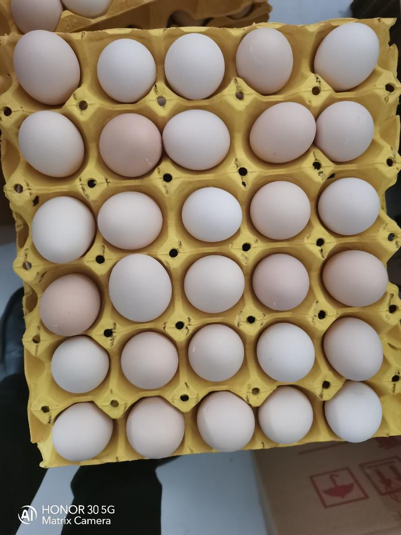 星火品牌鸡蛋