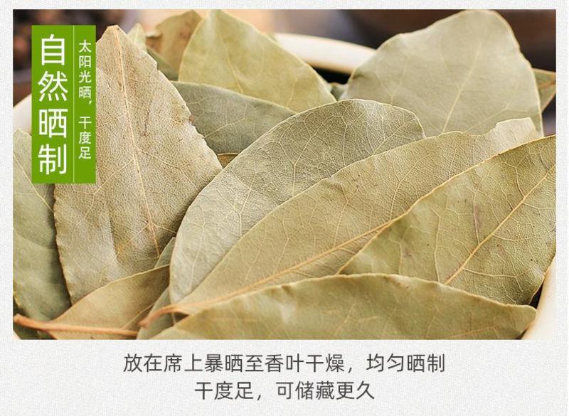 香叶天然月桂叶干优质调料香辛料香料另售八角花椒桂皮