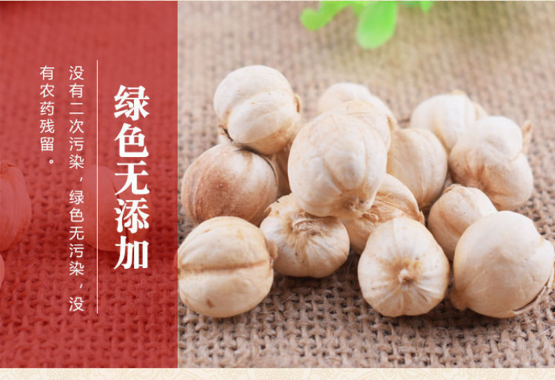 白寇白豆蔻无硫熏白蔻天然白扣豆蔻火锅香料卤料炖肉