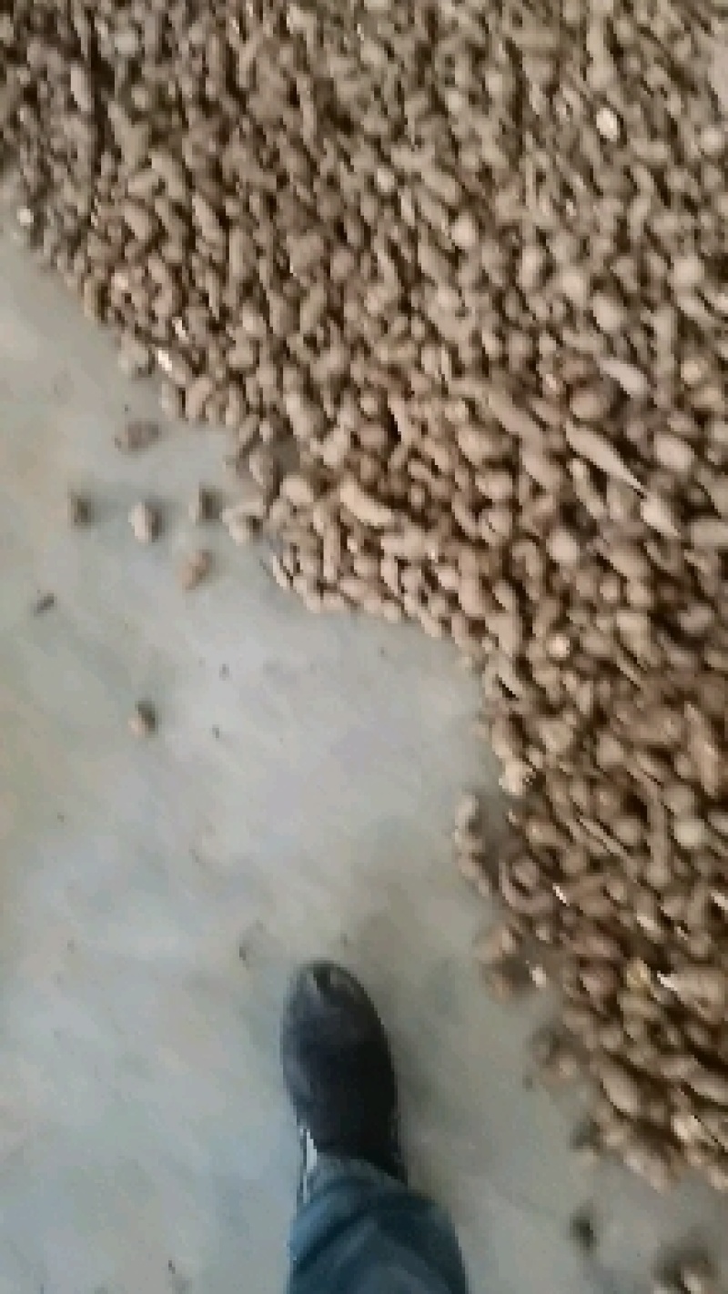我现在有（三叶青）货要卖的