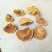 精品金边桑树桑黄