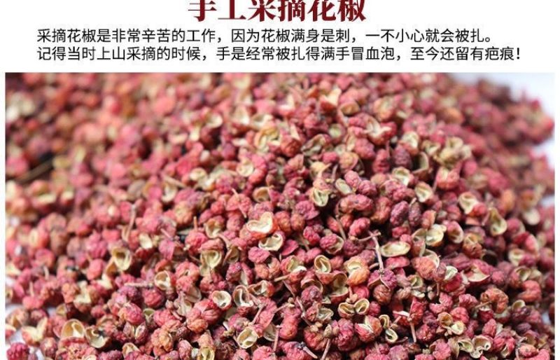 正宗花椒粉第一名特香特麻现磨纯花椒面青花椒粉香肠火锅调料