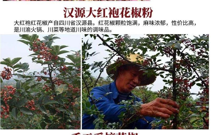 正宗花椒粉第一名特香特麻现磨纯花椒面青花椒粉香肠火锅调料