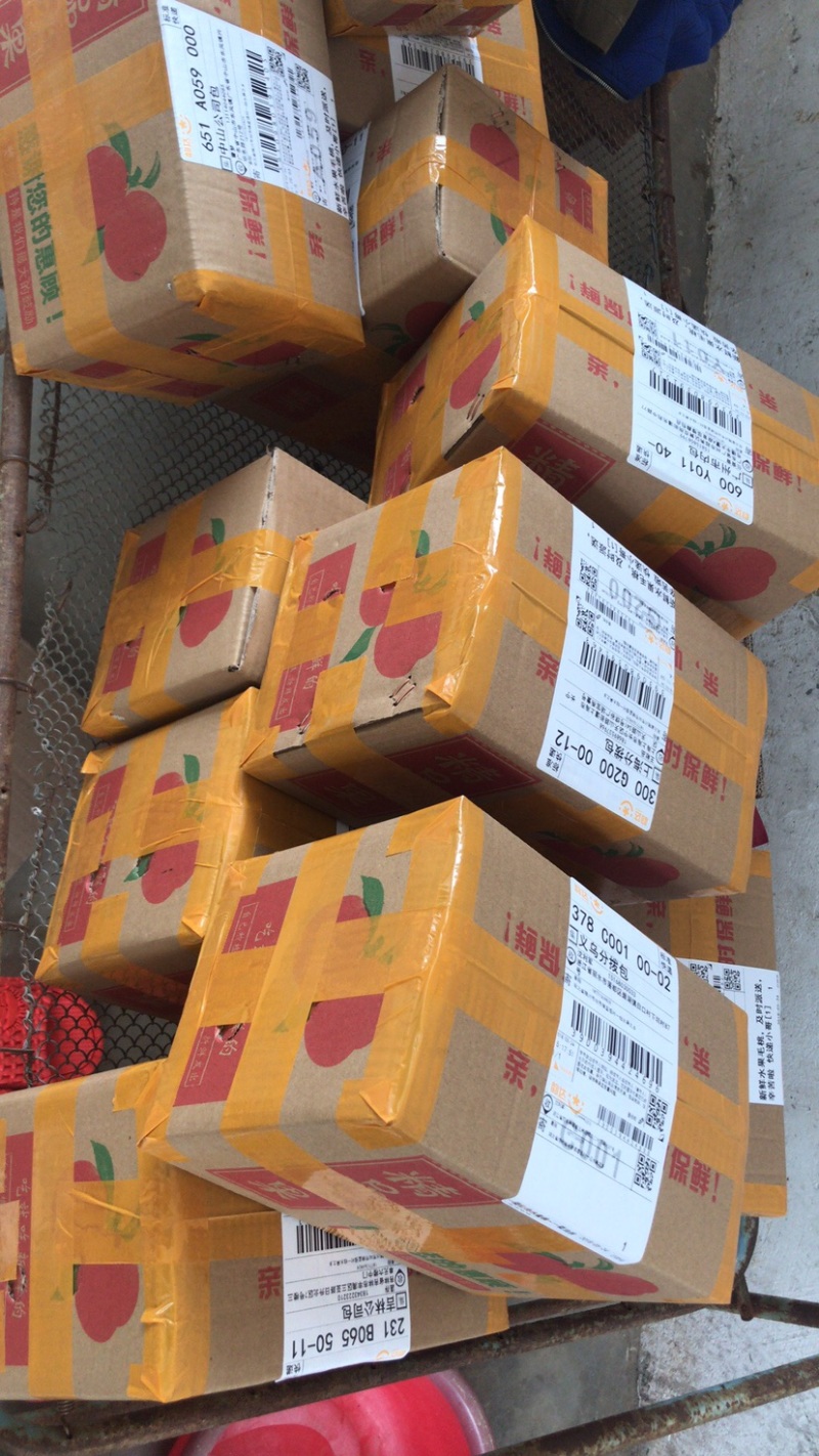 红不软桃子脆甜量大日发10万斤精品电商货一件代发