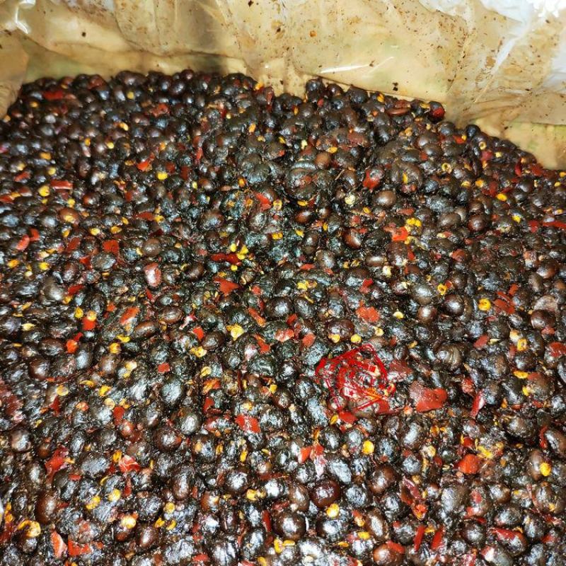 聚兴源麻辣豆豉9.5kg整箱餐饮豆豉香辣豆鼓麻辣烫底料