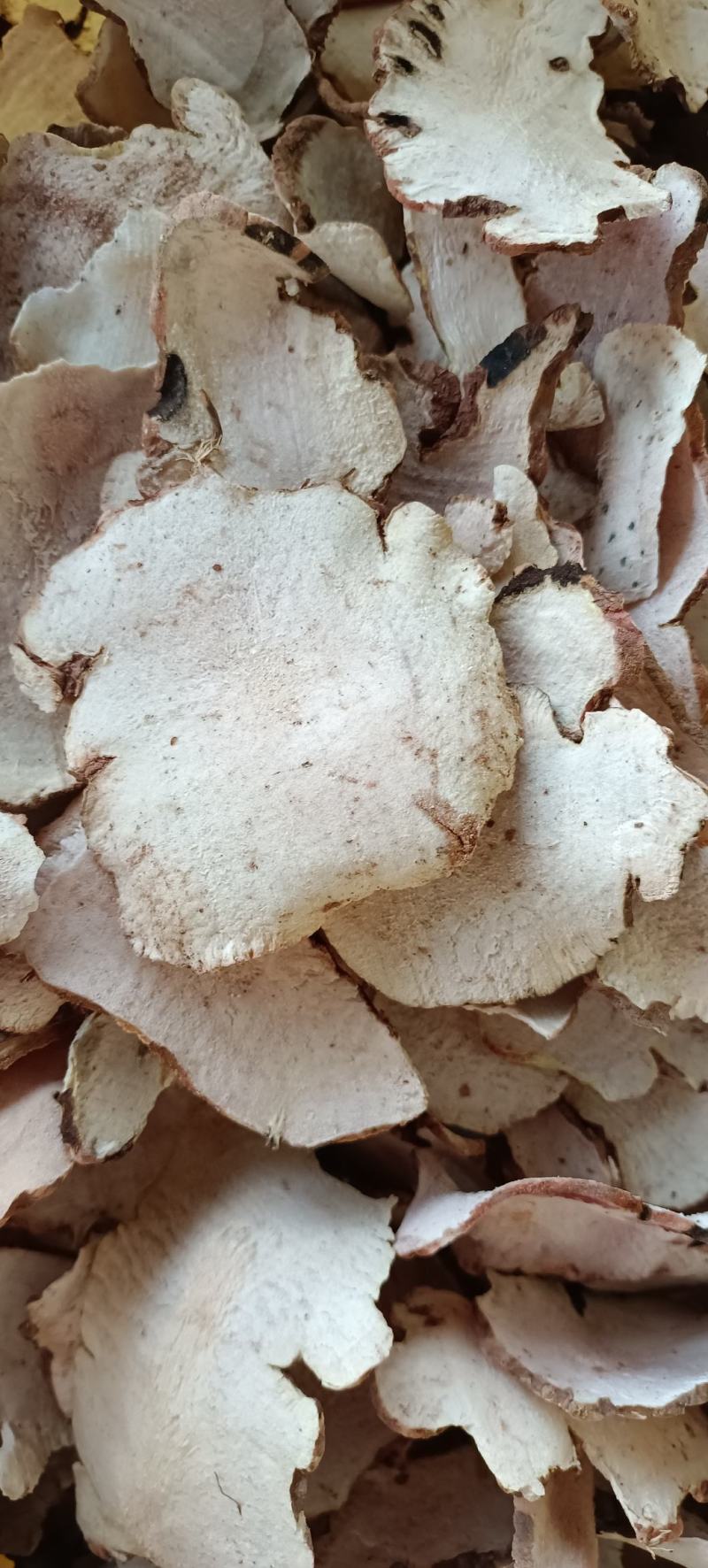 土茯苓薄片熟片，厚片生片，对半的。