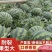 精品甜王西瓜，基地直发，个头均匀红壤多汁，全国批发