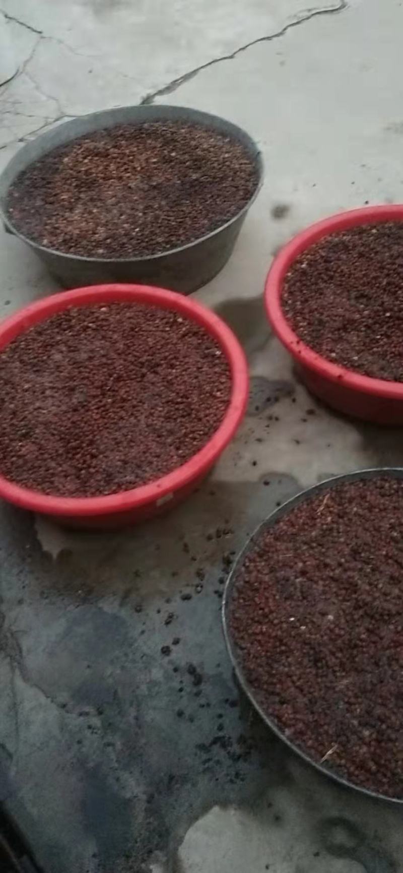 枣核酸枣酸枣胡陕西宝鸡货，去年陈货出仁率高。现场坐标