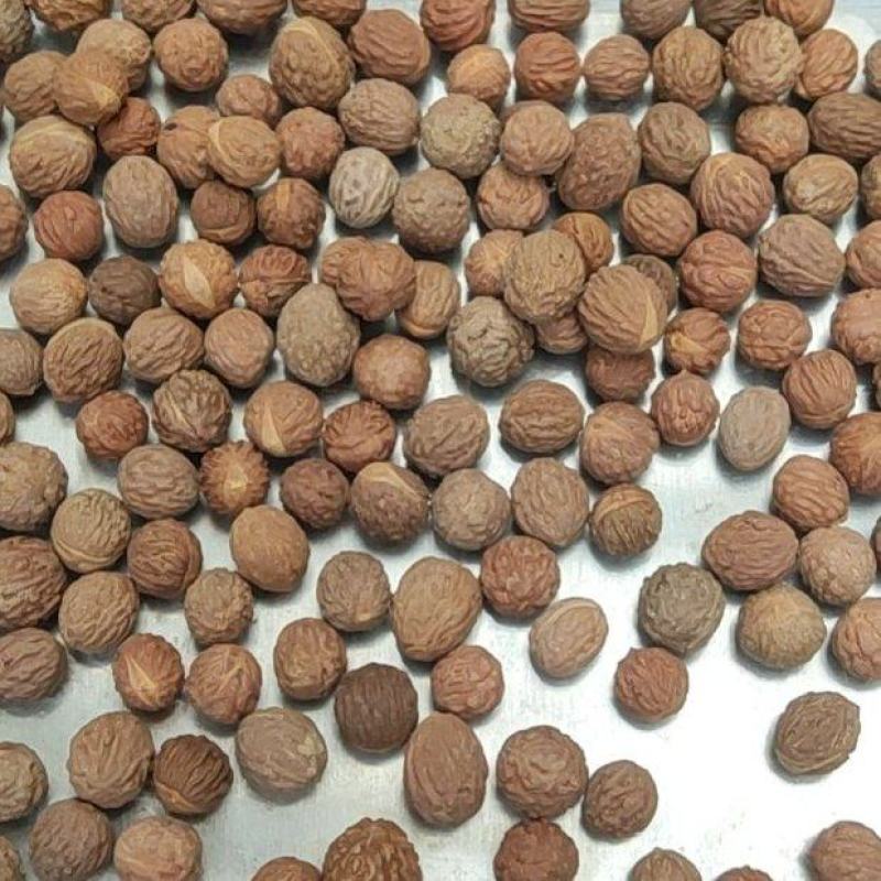 枣核酸枣酸枣胡陕西宝鸡货，去年陈货出仁率高。现场坐标