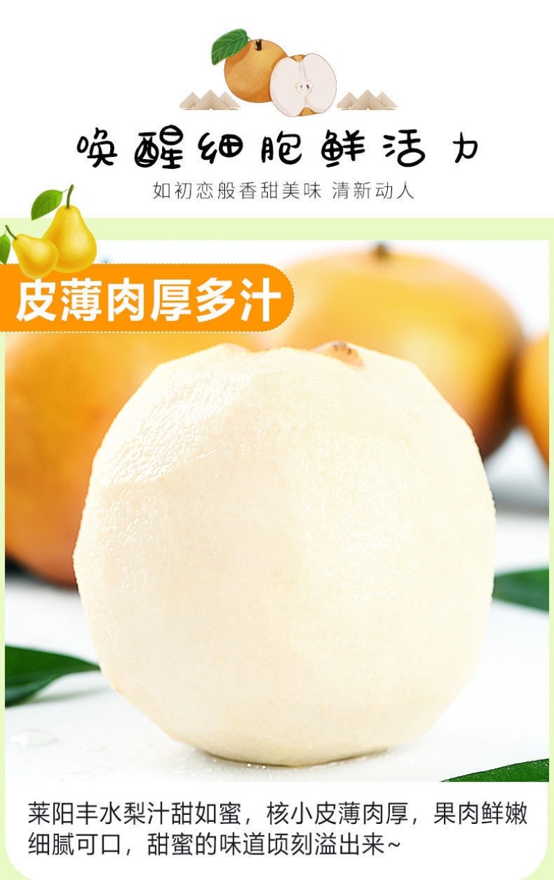 秋月梨丰水梨正宗超甜冰糖梨薄皮秋月梨黄皮梨脆甜多汁蜂蜜梨
