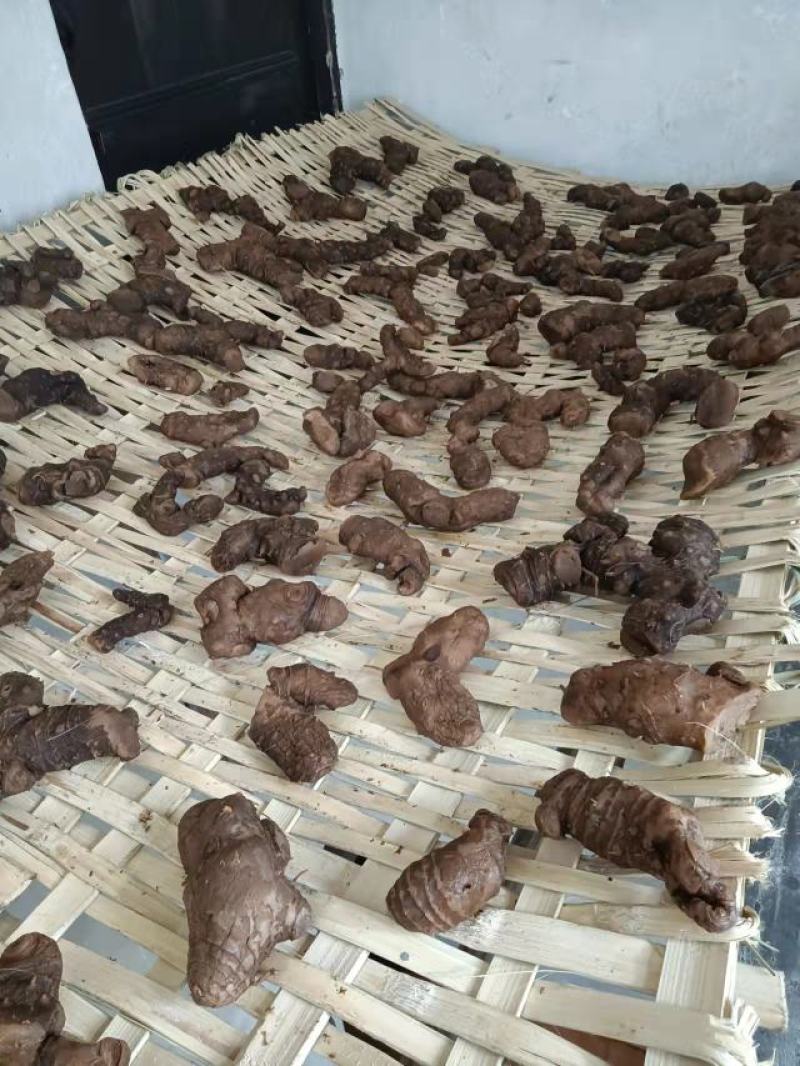 战斗到天亮，九制黄精。黄精，仙人余粮，老虎姜。救穷草