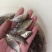鲤鱼苗、大种鲤鱼、稻田鲤鱼苗、快大好养高产量、一手货源