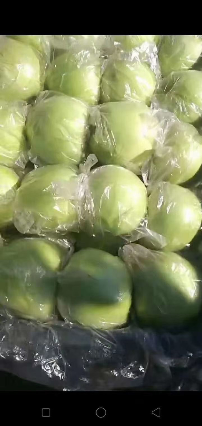 王林苹果河北王林精品膜袋王林纸袋王林精品特级王林通货