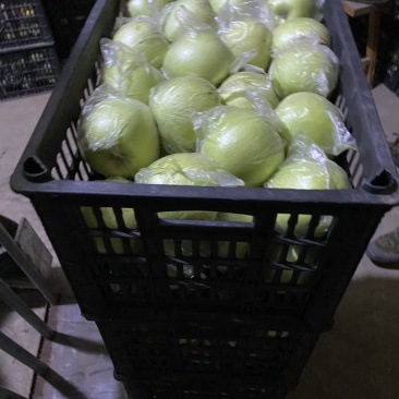 王林苹果河北王林精品膜袋王林纸袋王林精品特级王林通货