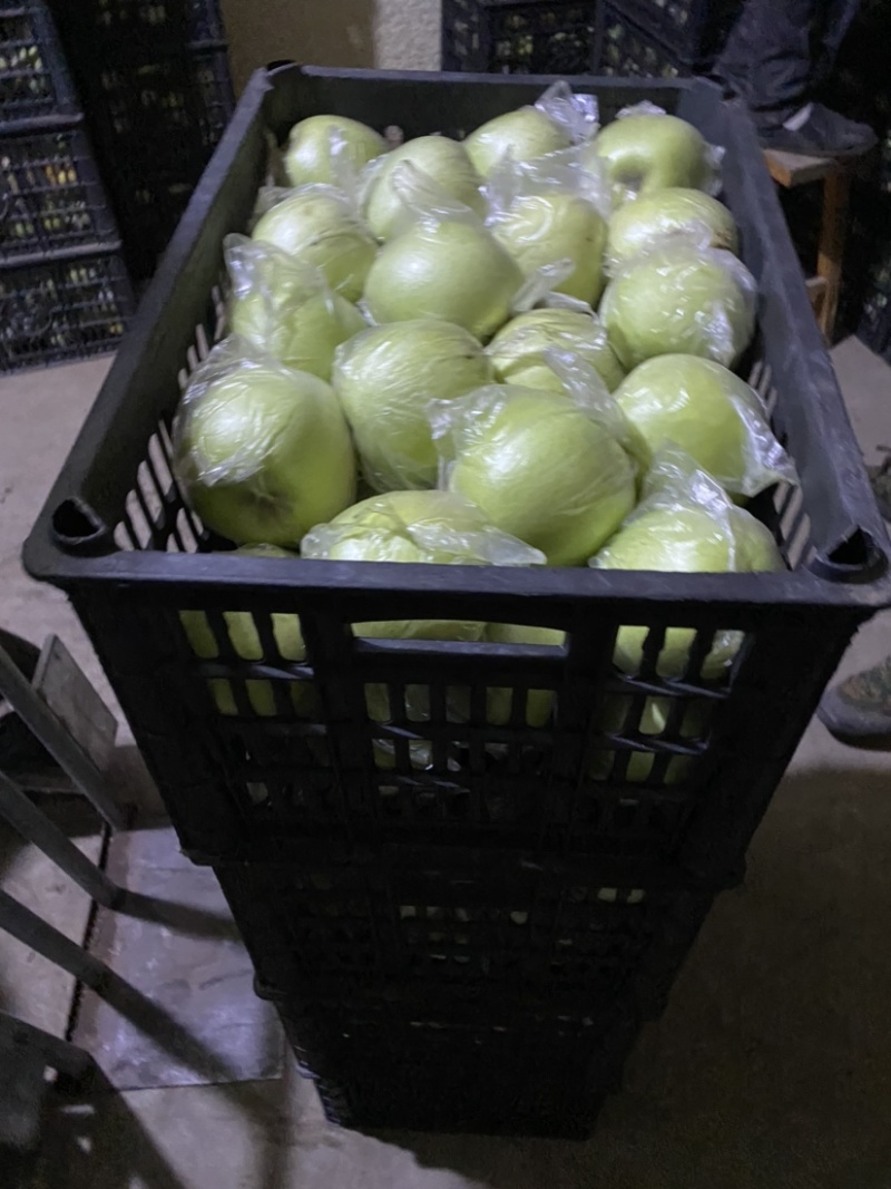 王林苹果河北王林精品膜袋王林纸袋王林精品特级王林通货