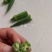 粒粒优选水果二号秋葵种子高品质养生蔬菜水果秋葵种子耐老