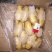 精品库存荷兰十五土豆可根据客户要求加工任何规格